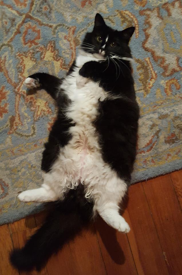 unabashed picture of aubrey