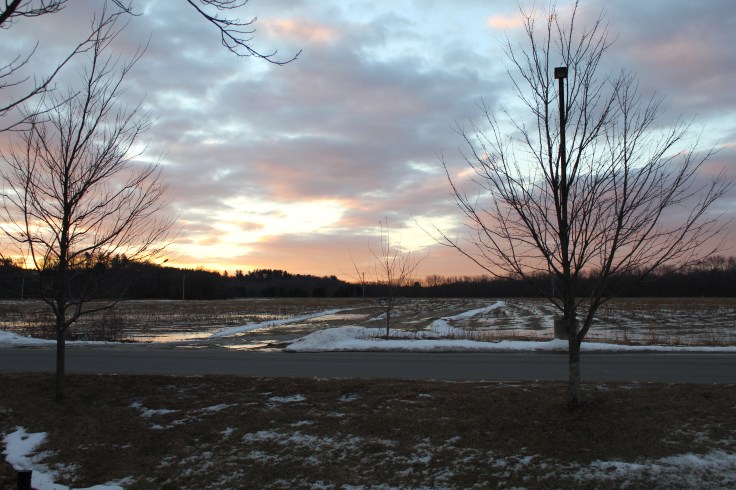 20190124191229_img_0029_1