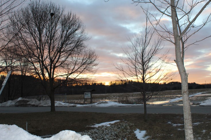 20190124191340_img_0033