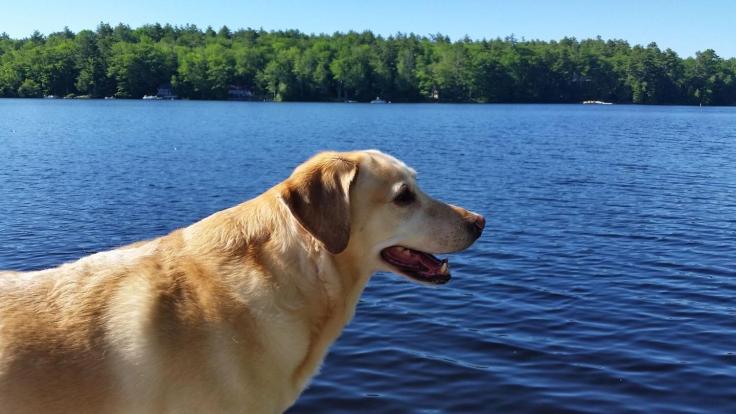 resized952017062595083432957251