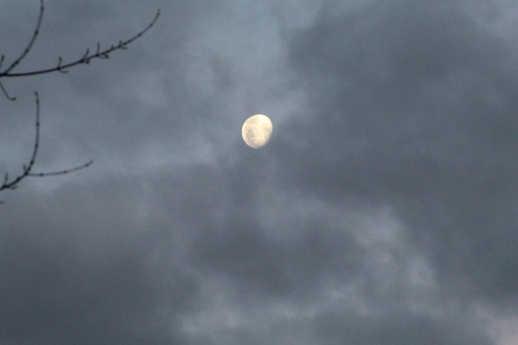 20190221182633_IMG_0114