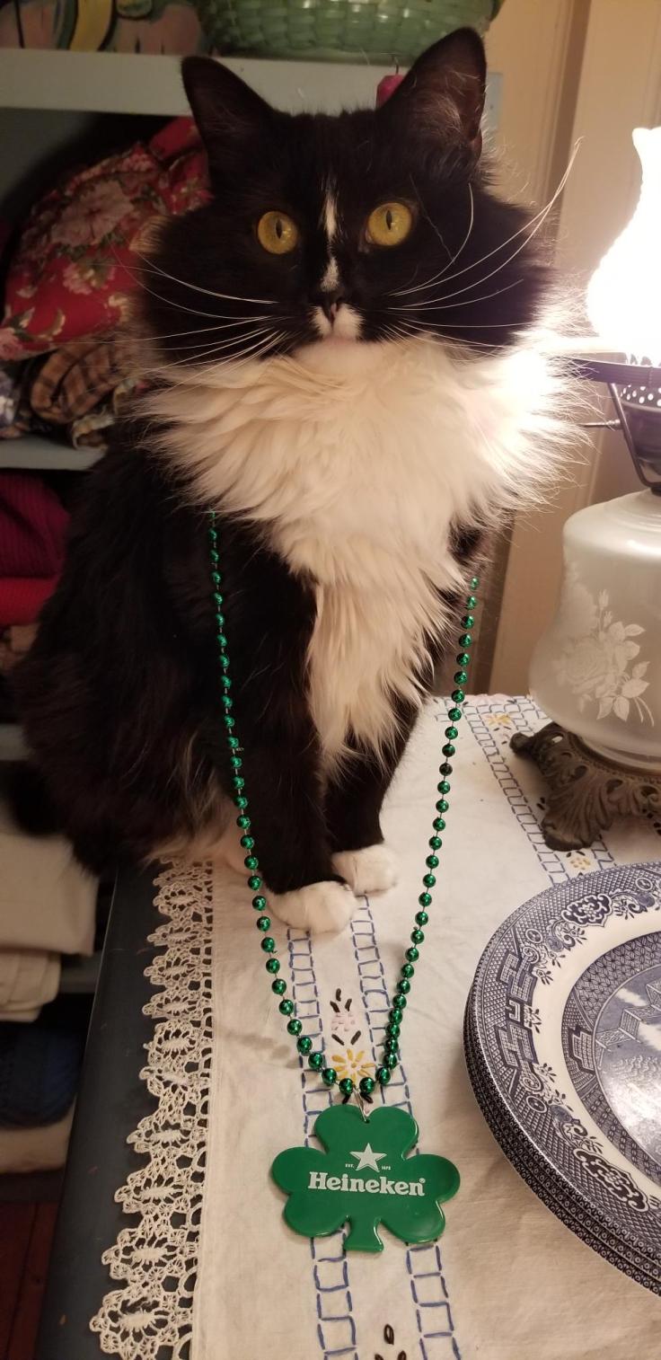 Resized_20190317_200843_8066