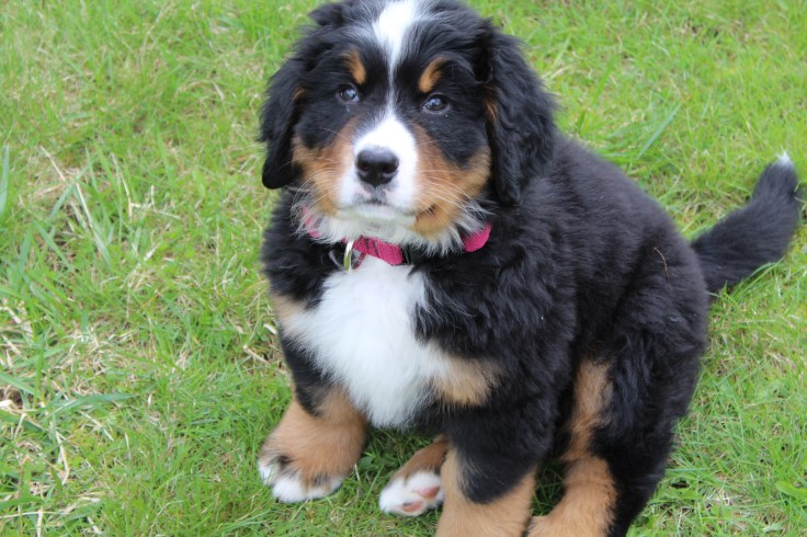 20190427222847_IMG_1107