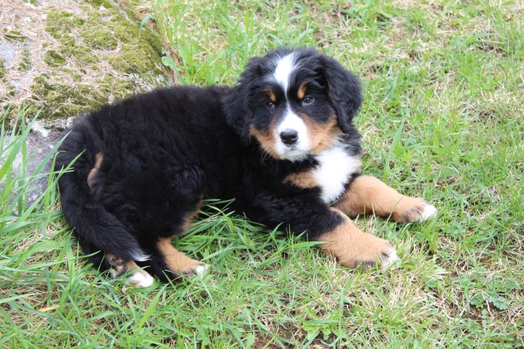 20190427223019_IMG_1112