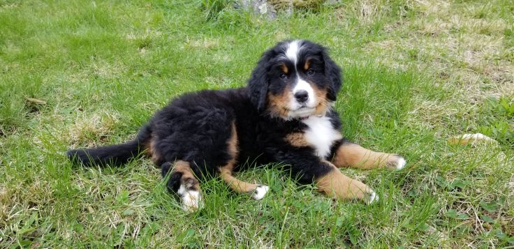 Resized_20190428_144211_3762