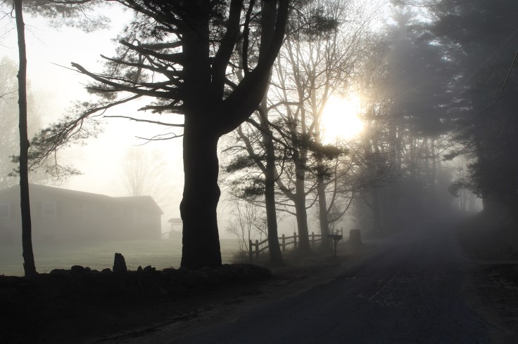 20190505172653_IMG_1133