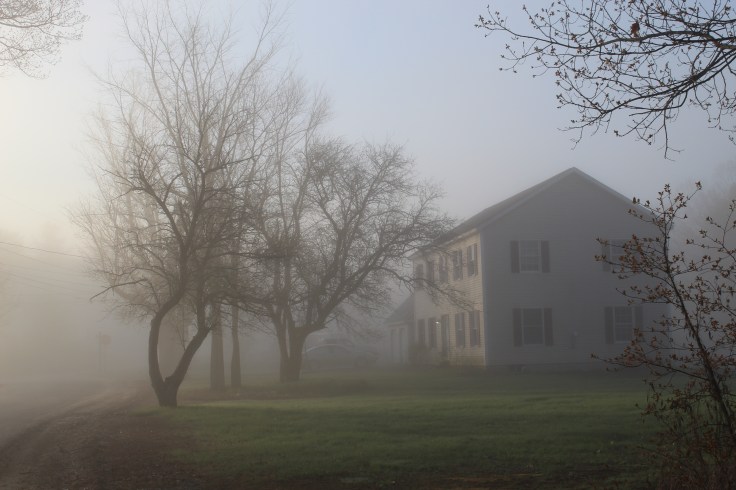 20190505173051_IMG_1143