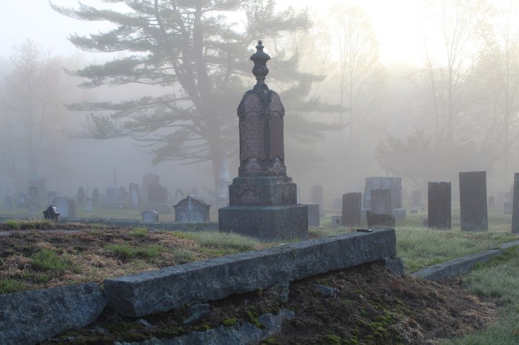 20190505173234_IMG_1145