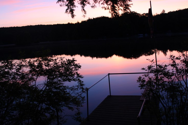 20190608154652_IMG_1333