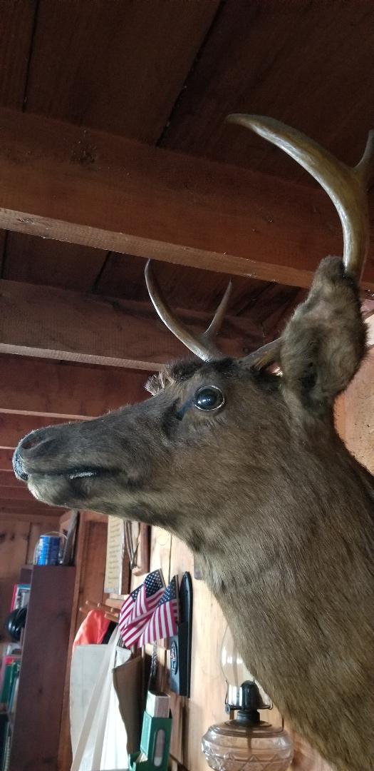 Resized952019061395105337