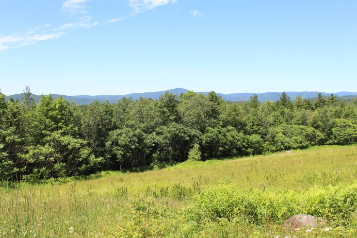 20190706233009_IMG_1522 (1).JPG