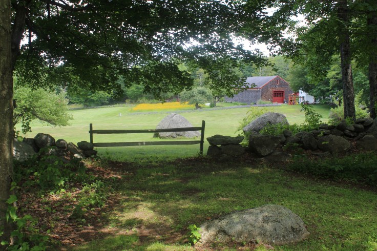 20190725005735_IMG_1829_1