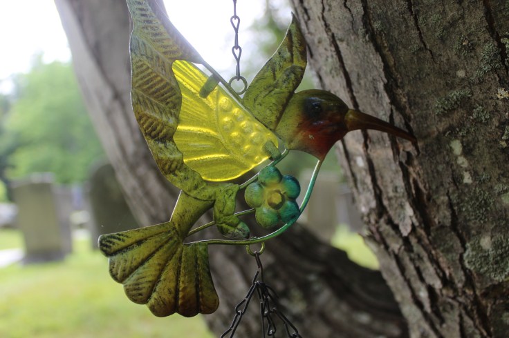 20190725010017_IMG_1836