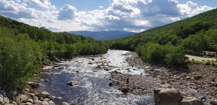 Resized952019062295162813001