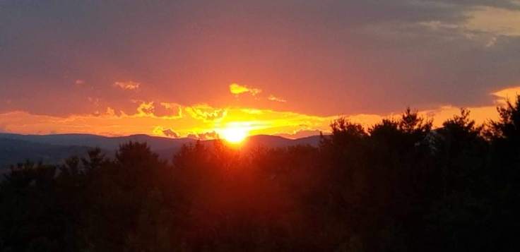 Resized952019070295202303