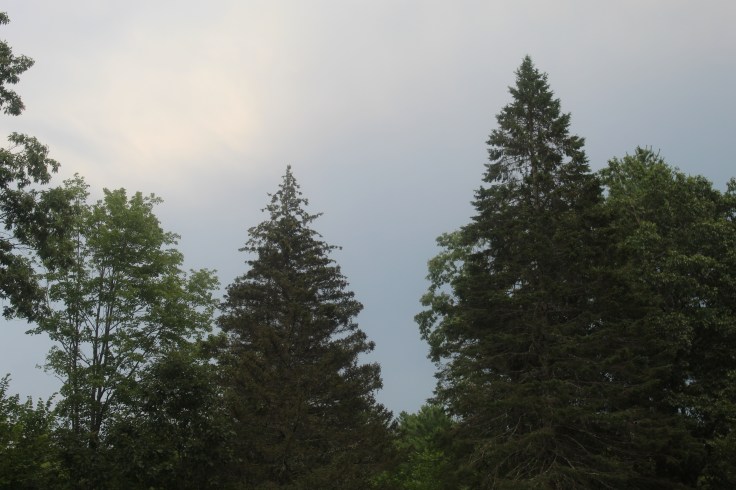 20190808060329_IMG_1883