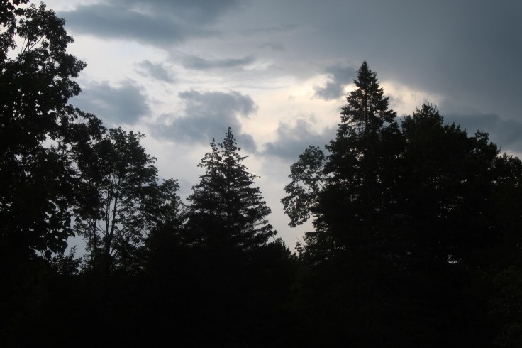 20190808063100_IMG_1887