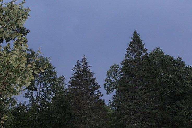 20190808065156_IMG_1890