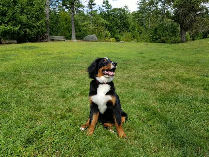 2019082495151430 (1)