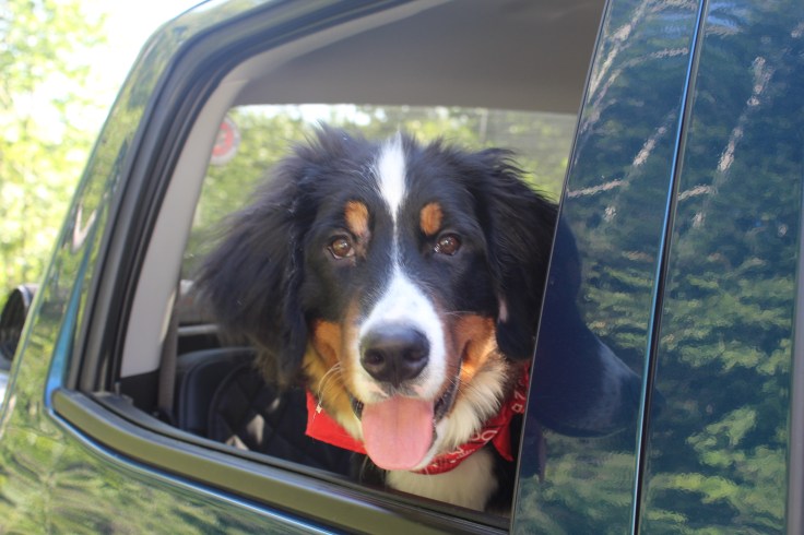 20190825040144_IMG_2125