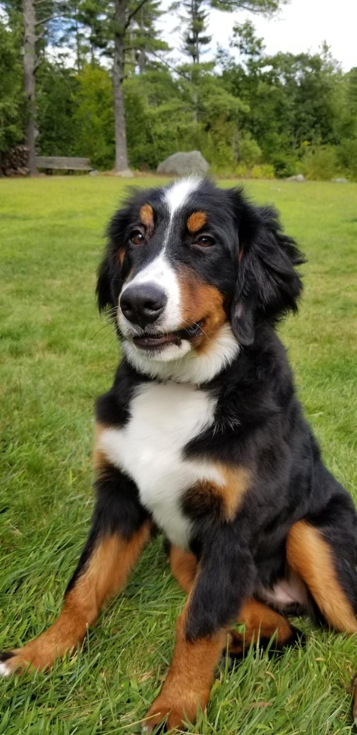 Resized952019082495151648(0) (1)