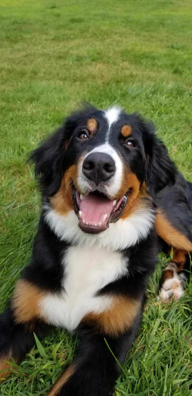 Resized952019082495151708