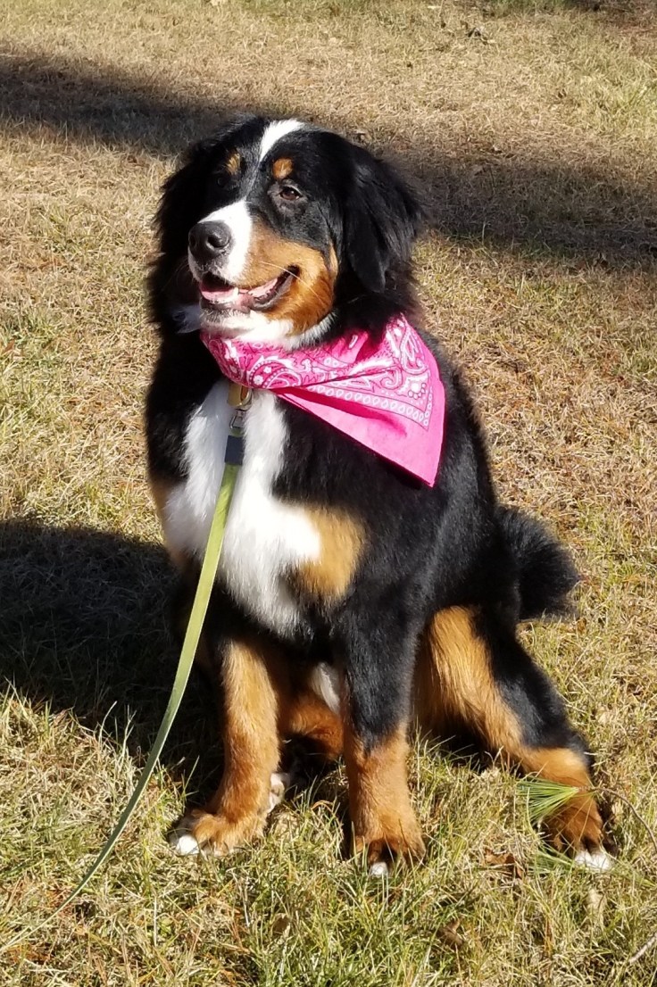 Resized_Resized_20191123_124057002