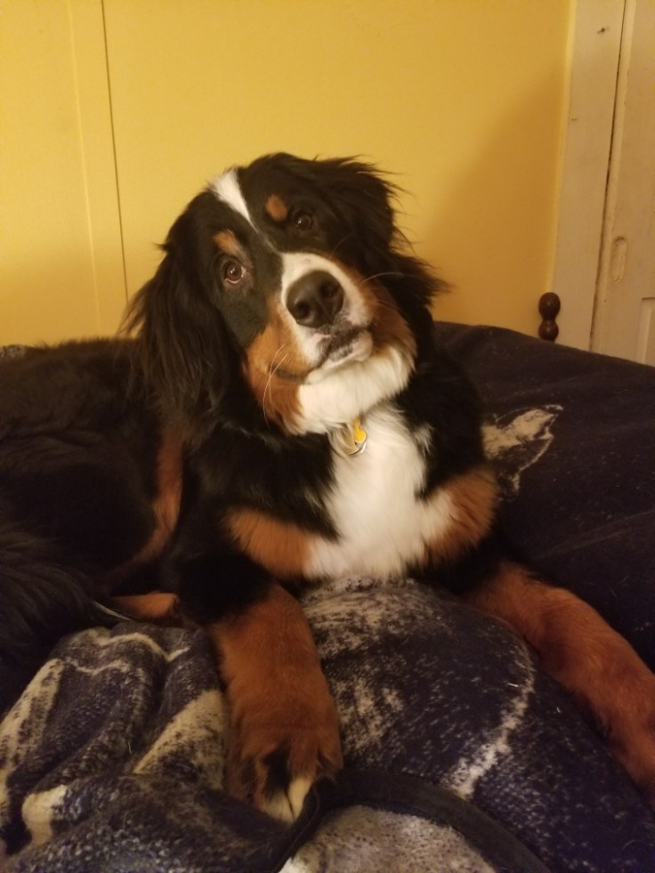 Resized_20191211_193236