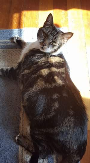 17097725_756019277908149_1665305127394537680_o