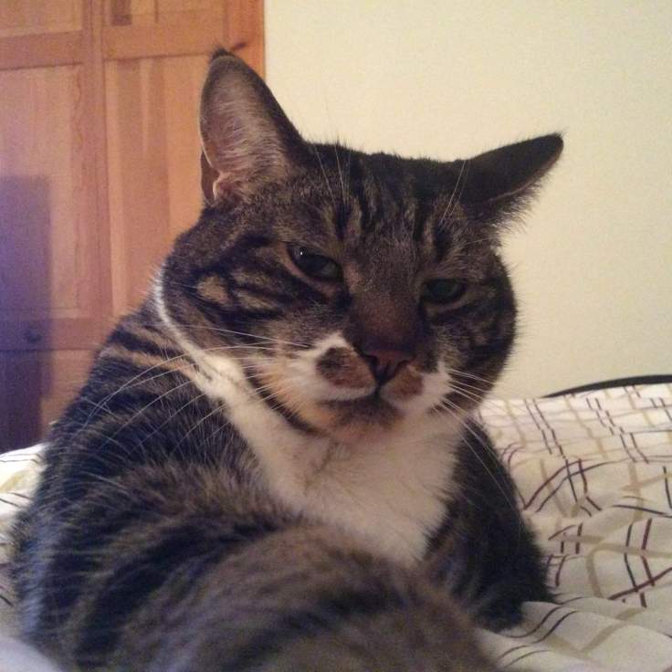 885532_393895737453840_3818309427731364348_o