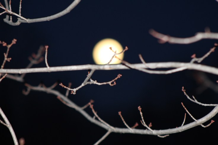 20200308174631_IMG_3108