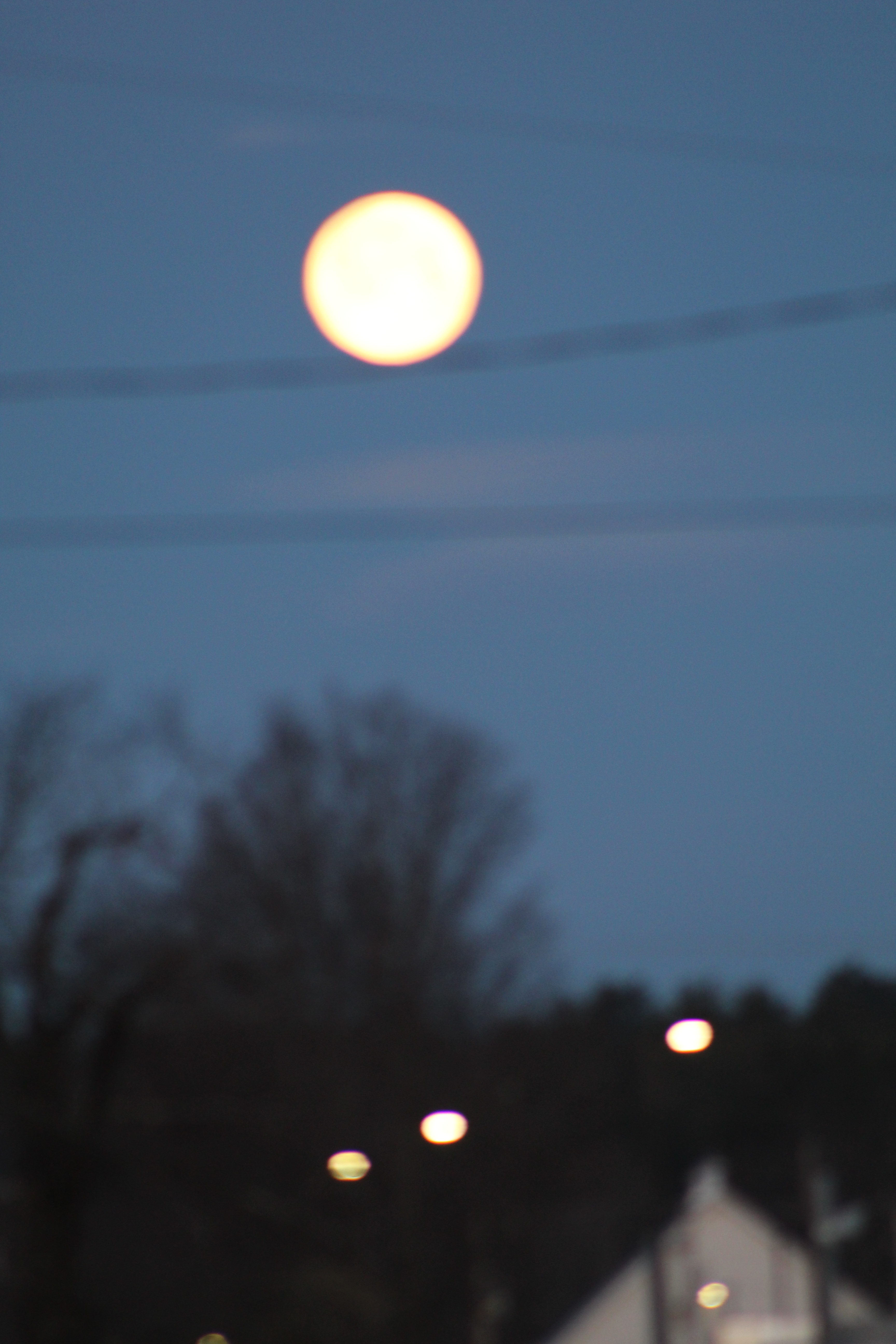 20200308175731_IMG_3129