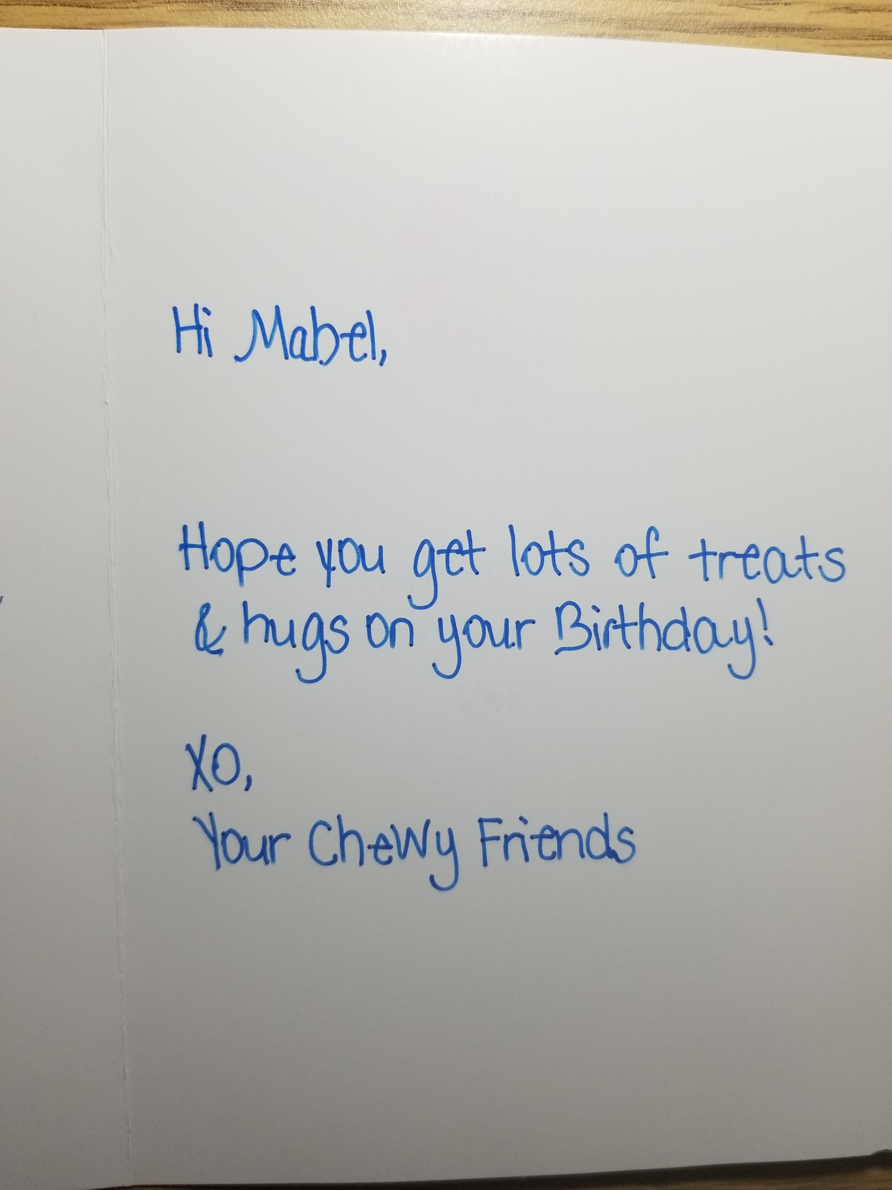 Dresses in February? – Designing Mimi